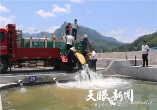 貴州漁業生態轉型 拆網箱,不拆產業