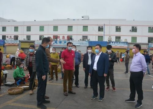 美蘭區委書記馮琳帶隊深入轄區各大海鮮銷售市場,檢查指導水產品市場