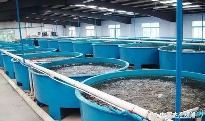 我國工廠化水產(chǎn)養(yǎng)殖發(fā)展與思考_技術(shù)