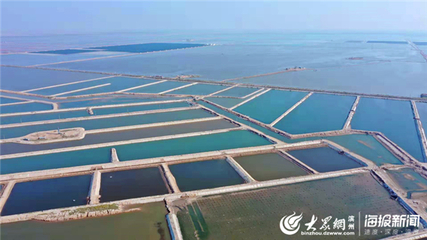 航拍友發(fā)水產(chǎn)海水健康養(yǎng)殖示范基地