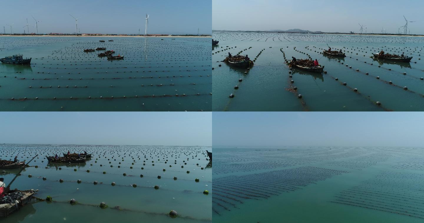 航拍海灘海洋綠色海岸水產(chǎn)養(yǎng)殖