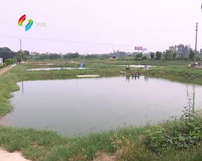 水產(chǎn)品藥殘損健康 養(yǎng)殖戶要把好安全關(guān)