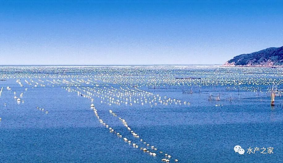 到 2030 年,我國或將有2000萬t水產品的缺口需要通過發(fā)展水產養(yǎng)殖來彌補?