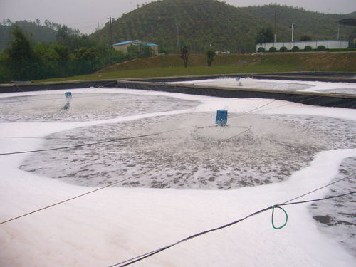 如何根據(jù)養(yǎng)殖的水產品選擇防滲產品,看完這篇文章了解清楚
