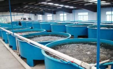 養(yǎng)殖水產技術