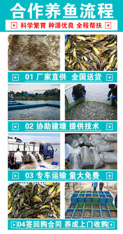 富洋水產養殖s