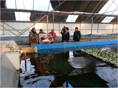 透過央視看漁業(yè):京城老魚背后的鄉(xiāng)村振興新賽道