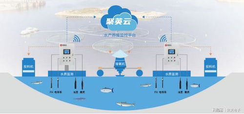 漁業養殖在線監控系統,提升水產品質量