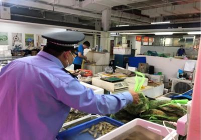 長江禁捕一盤棋“打非斷鏈”在持續