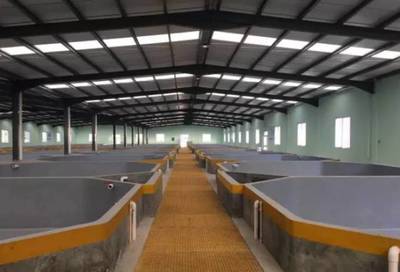 我們要養魚,我們也要環保!一文秒懂《工廠化水產養殖系統》_科技_網