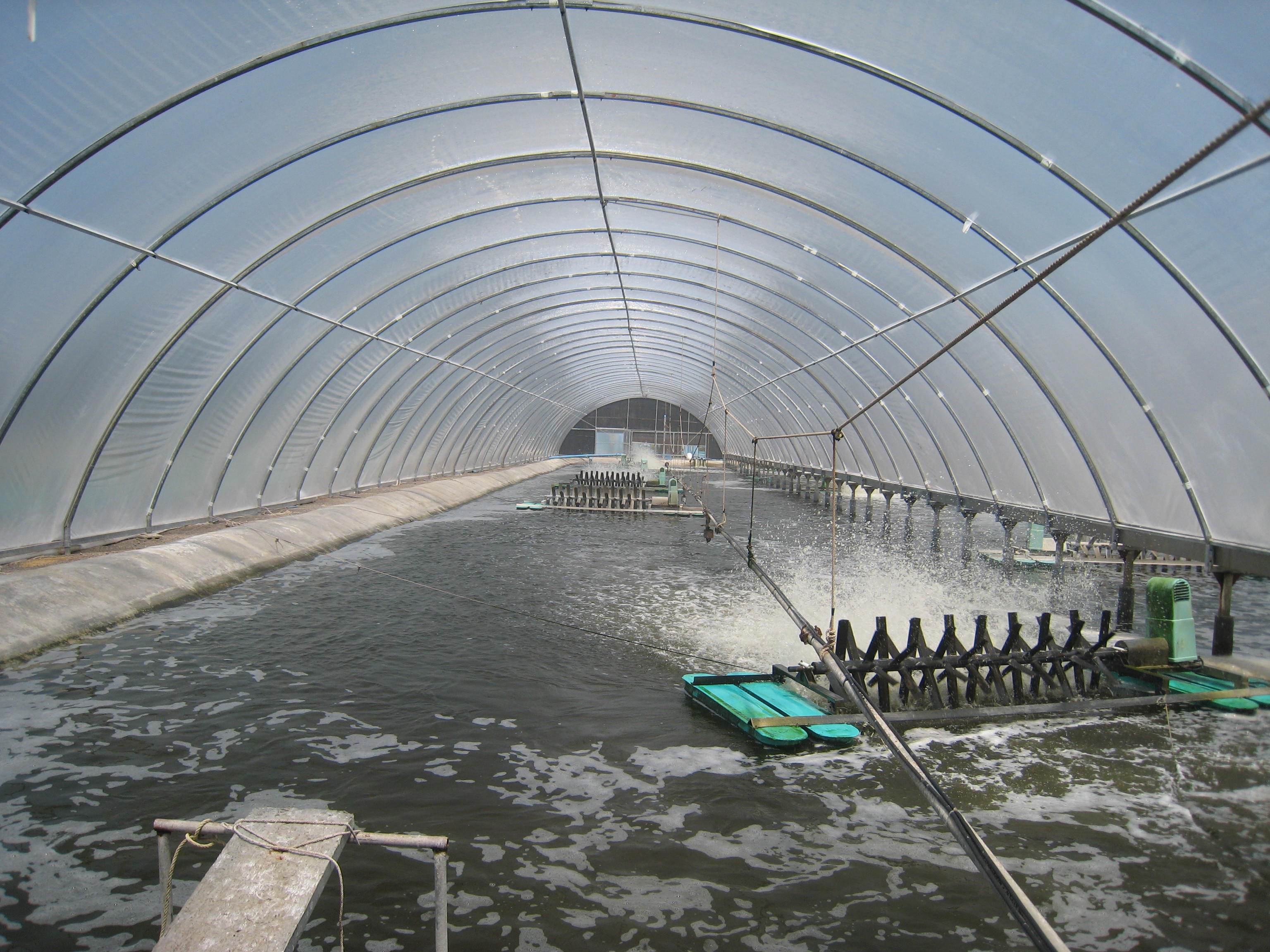 為什么都說水產養殖行業還有發展空間?_水質_數據_環境