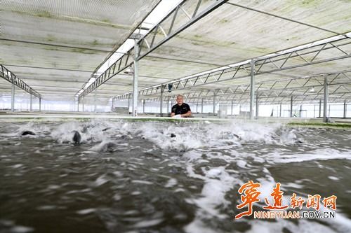 寧遠 工廠化循環水養魚 村民增收添 門路
