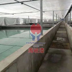 工廠化水產養殖為什么要刷海峽漆水產養殖漆