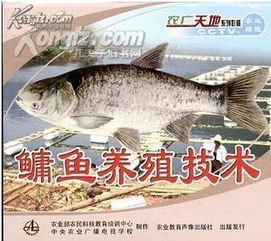 鳙魚養殖 水產品生產流程圖譜 鳙魚