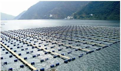 四川水產業發展概況及遠景目標