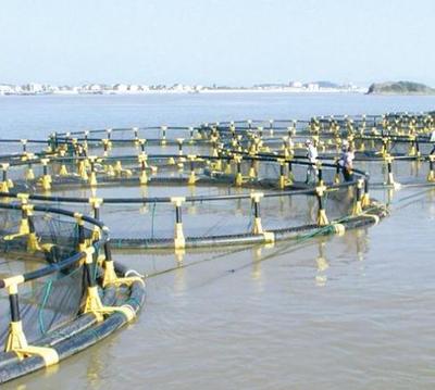 水產養殖