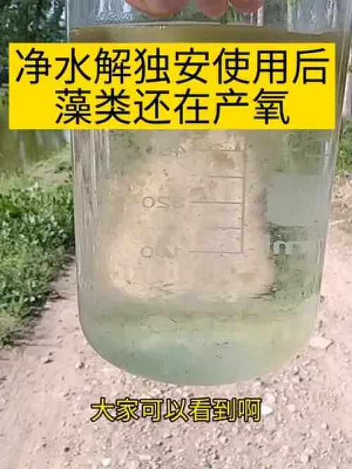放心吧 魚蝦蟹養殖 水產養殖 螃蟹養殖 水產人 小龍蝦養殖 南美白對蝦養殖 水產 大閘蟹養殖 水產養殖技術