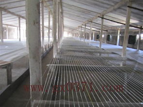 聚脂線圖片,聚脂線高清圖片 滎陽市廣獻畜禽養殖設備廠,