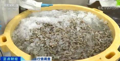 賣爆了!價格腰斬!出多少,賣多少