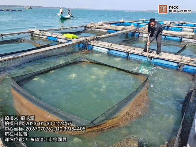 "海洋牧場"人歡魚躍,湛江水產向深藍挺進!_養殖_網箱_深海