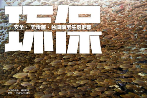 育苗池漆,養殖池漆在循環水工廠化水產養殖中的作用機理