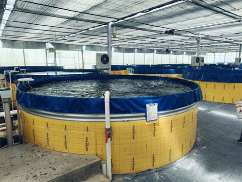 甘肅臨洮縣 生態漁業 綠水生金