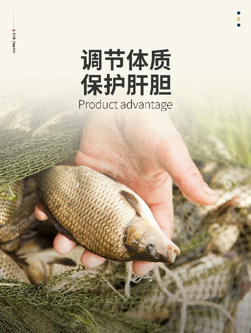 水產養殖用保肝藥供應商,膽汁酸
