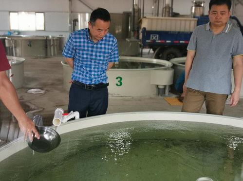 院士專家工作站 攜手 魚院士 ,打造水產種業 硅谷