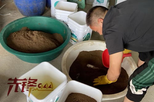 重拳出擊水產投入品 請避開這些藥品 飼料添加劑的法律 雷區 福建行動了