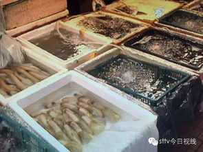 看到這份水產品檢測報告,小伙伴們都驚呆了