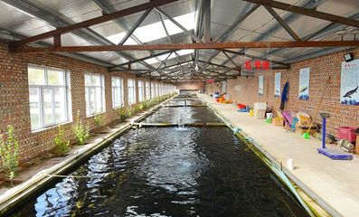 喀喇沁旗設施化冷水養殖異軍突起推動冷水魚產業提質升級