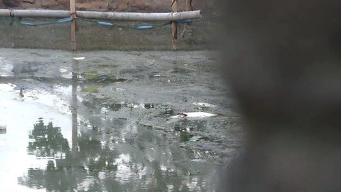 在這里