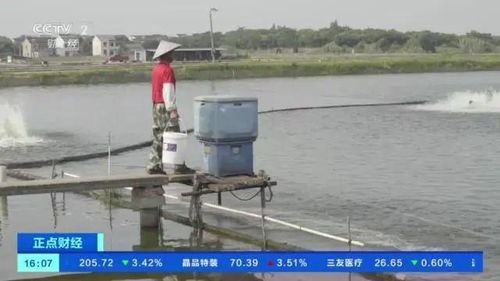 水產飼料多次漲價驚動央視 養戶減少投料惜售等價