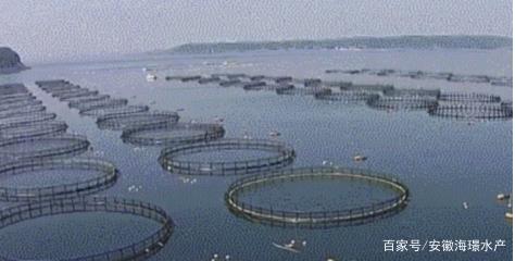 科技創新,引領新的水產養殖“時代”