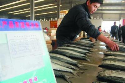 山東青島:水產品“溯源”一年 效果真不錯!_水產快訊(國內水產)_中國水產養殖網