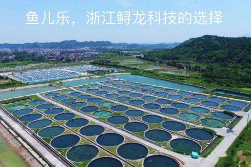 水產養殖業發展的4個階段你知道嗎