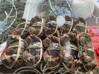 揚州江都:蟹農變身新電商 "訂單螃蟹"爬得歡