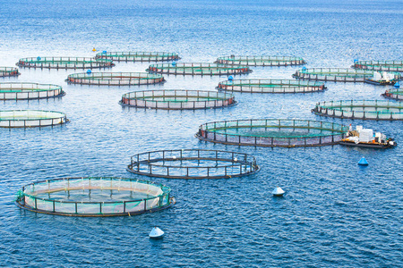 魚類養殖設備