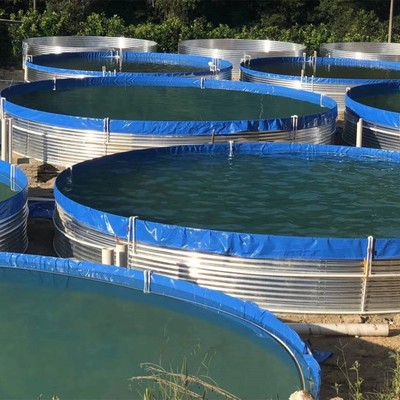 高密度養魚,養魚大圓桶,高位池 在水產養殖業中占有重要地位