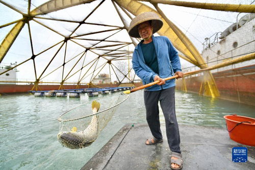 福建 耕海牧漁 走向深藍(lán)