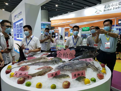 海水產品進內陸系列活動在廣州啟航