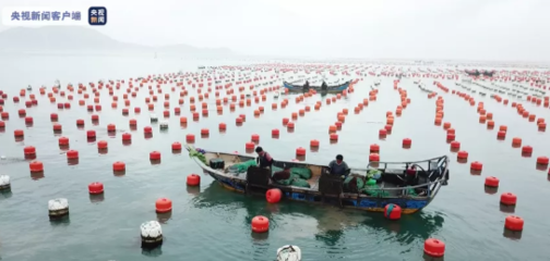 逐浪而行!全國首宗海洋漁業碳匯交易完成