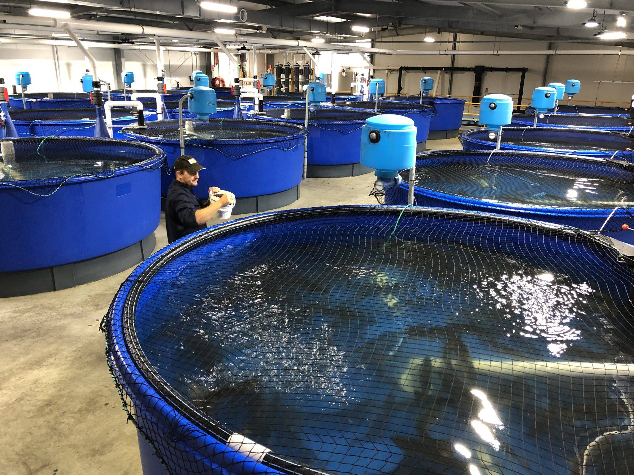 為什么都說水產養殖行業還有發展空間?_水質_數據_環境