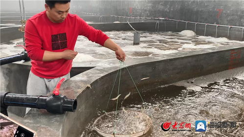 創(chuàng)新潮涌黃河口⑥ 漁 生態(tài) 墾利區(qū)漁業(yè)融合發(fā)展新模式塑造區(qū)域核心競(jìng)爭(zhēng)力