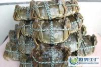 大湖蟹(雌、雄一級,淡水養殖)[供應]_鮮活水產品_世界工廠網中國產品信息庫