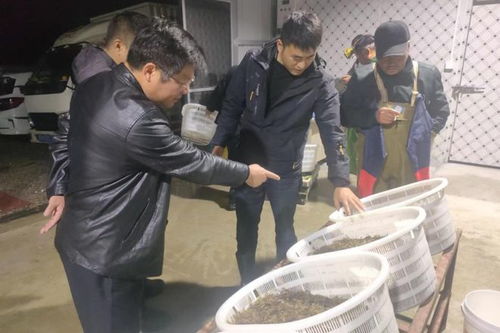我市首家水產(chǎn)品交易市場(chǎng)投入運(yùn)營(yíng)