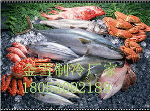 肥東肉類冷庫設(shè)備如何進行有效管理