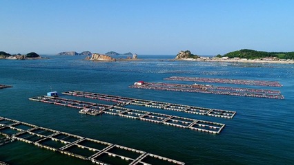 捕撈海參捕撈海參
