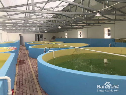 工廠化水產養殖池漆的施工工藝