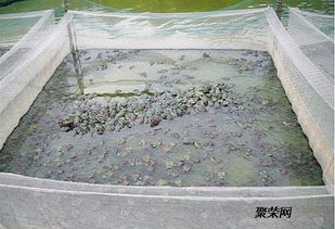 廠家專業生產 青蛙牛蛙養殖圍網 抗氧化 耐高溫